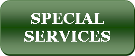 Rounded Rectangle: Special services
